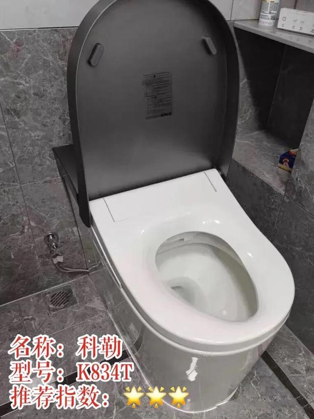 智能马桶水太深听听过来人怎么说(4)