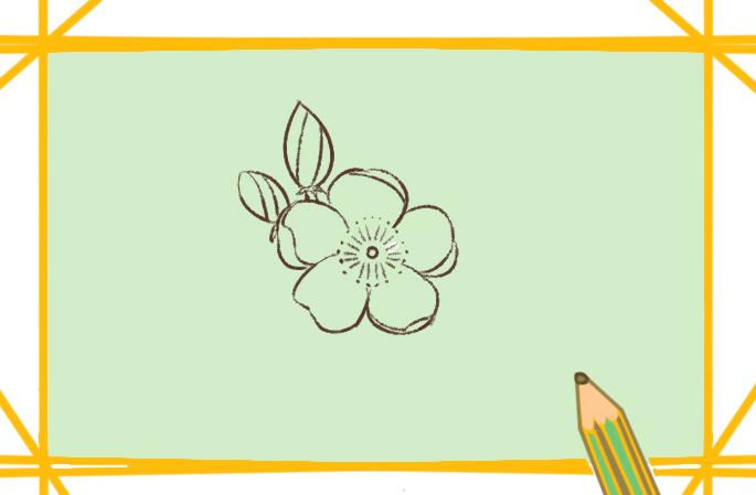 樱花简笔画彩色简单各种各样（画樱花简笔画用铅笔）(2)