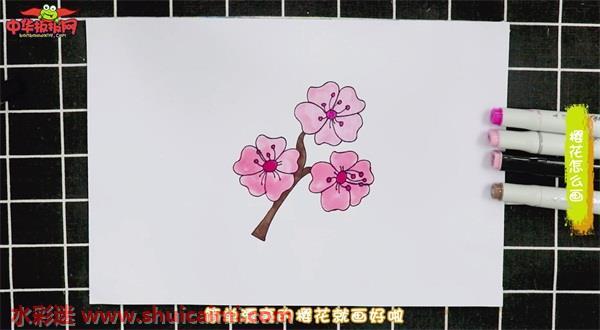 樱花简笔画彩色简单各种各样（画樱花简笔画用铅笔）(4)