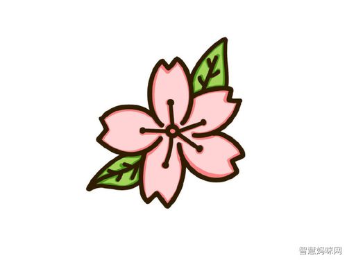 樱花简笔画彩色简单各种各样（画樱花简笔画用铅笔）(8)