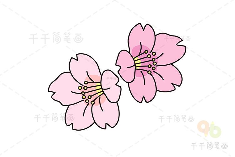樱花简笔画彩色简单各种各样（画樱花简笔画用铅笔）(9)