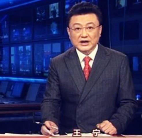 刘纯燕的老公（金龟子刘纯燕对于老公王宁）(11)