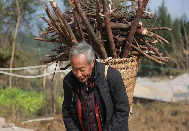 中老年喝什么牛奶好（中老年人补钙 别只会喝牛奶）(1)