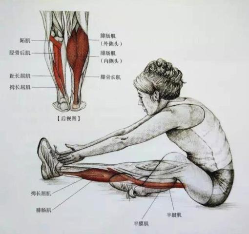 李小冉个人资料（44岁的李小冉身材好到爆）(17)