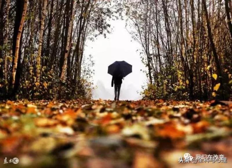 啥都不想说图片（但我什么也不想说……）(2)
