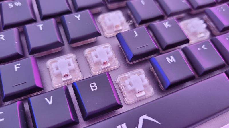 狼蛛机械键盘怎么样调灯光（键盘鼠标品牌排行）(9)