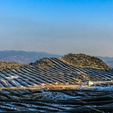除了治失眠谷维素还有这五大功效(1)