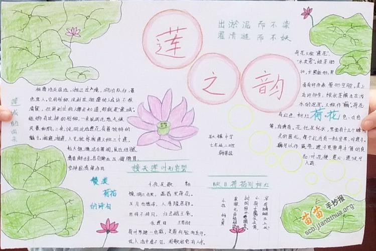 采莲曲手抄报画面（古诗手抄报采莲曲三年级）(2)
