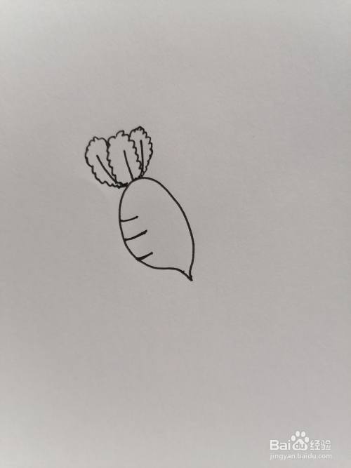 萝卜的画法简笔画幼儿园（幼儿园画黄瓜简笔画）(5)