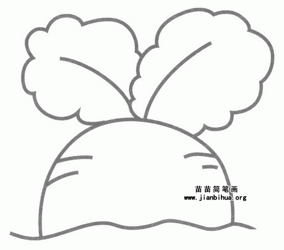 萝卜的画法简笔画幼儿园（幼儿园画黄瓜简笔画）(7)