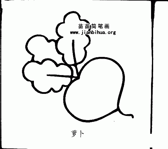 萝卜的画法简笔画幼儿园（幼儿园画黄瓜简笔画）(8)