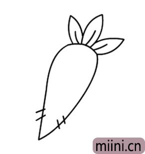 萝卜的画法简笔画幼儿园（幼儿园画黄瓜简笔画）(10)