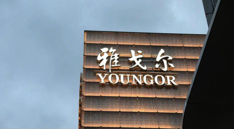 雅戈尔衬衫多少钱一件（雅戈尔衬衫图片和价格）(2)