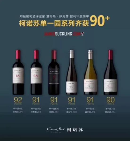 西班牙桃乐丝红酒怎么样（桃乐丝干红葡萄酒）(2)