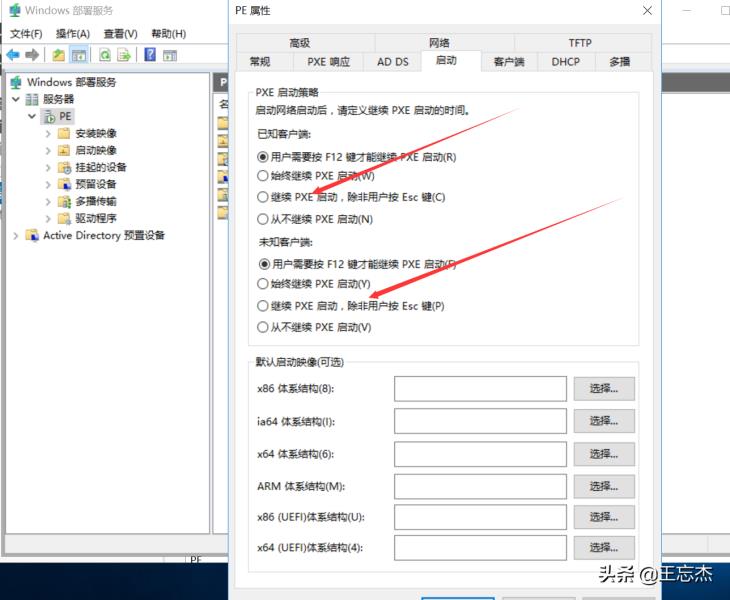 好用的pe系统工具（纯净pe工具排行榜）(14)