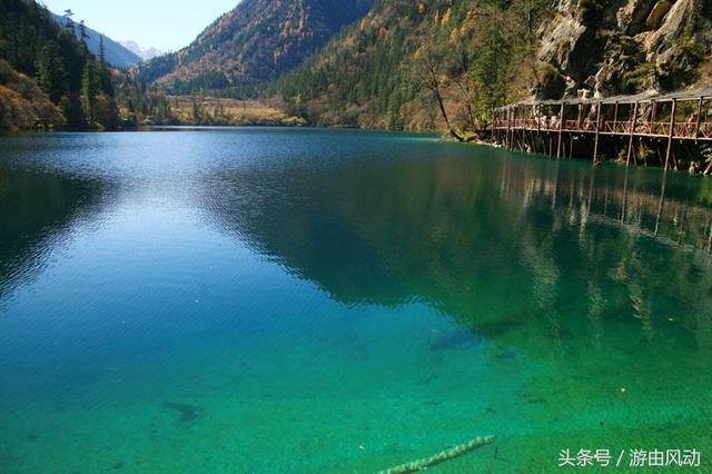 九寨沟景点介绍（九寨沟的主要景点大全）(8)
