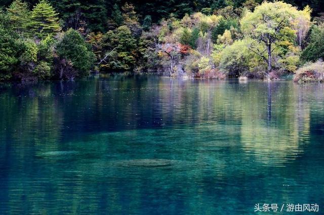 九寨沟景点介绍（九寨沟的主要景点大全）(22)
